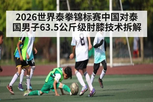 2026世界泰拳锦标赛中国对泰国男子63.5公斤级肘膝技术拆解