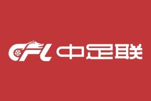 MK体育-官方：米特里策因拉拽李镇全头发，被追加停赛4场罚款4万